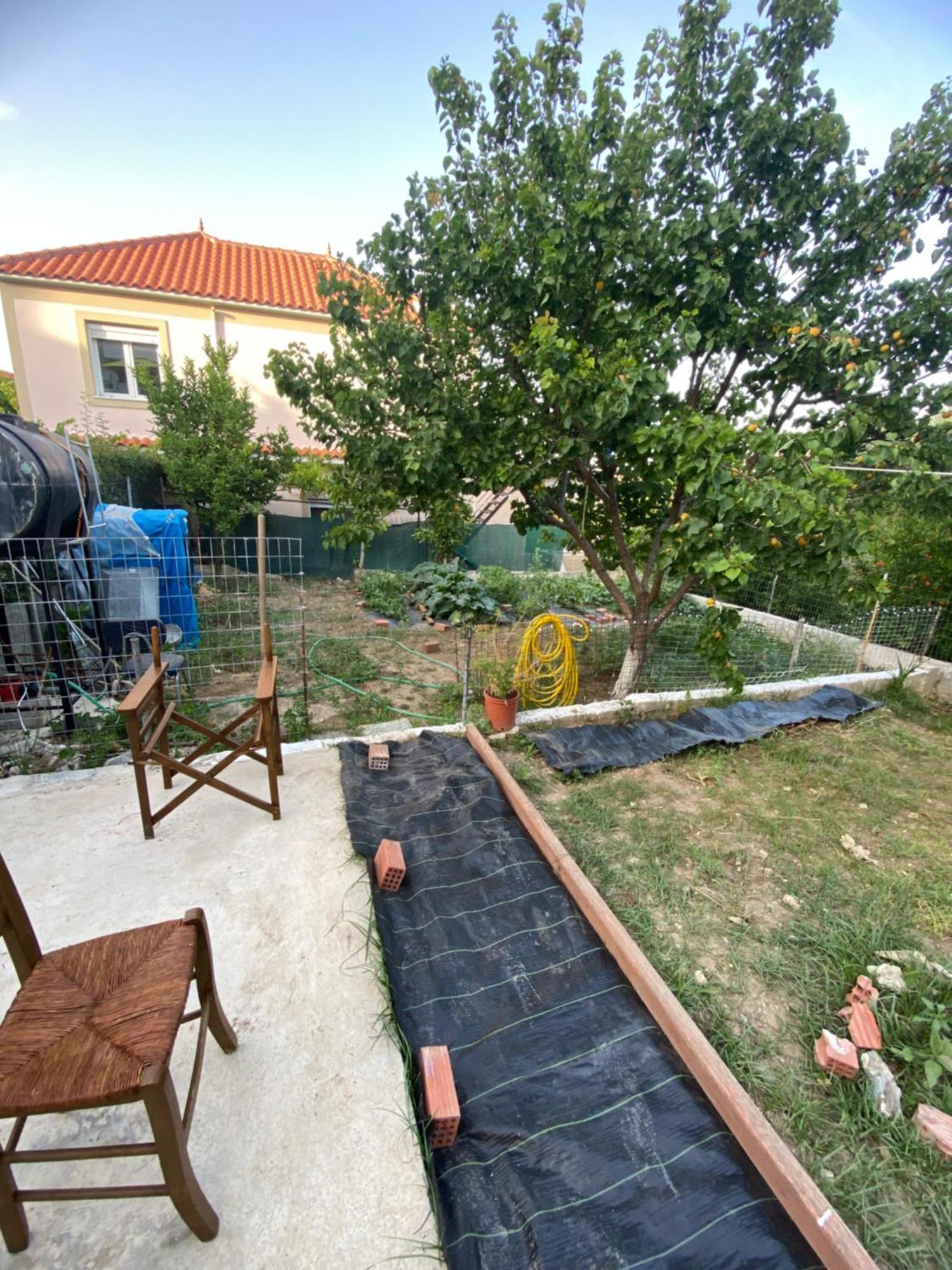 Garden Apartment Mjt Mytilíni Esterno foto